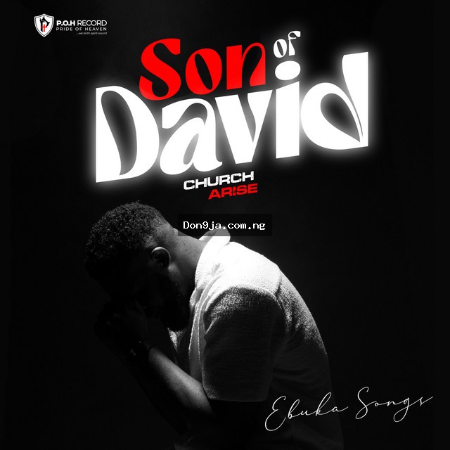 Son Of David cover