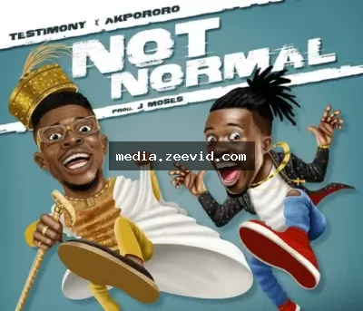 Not Normal cover art