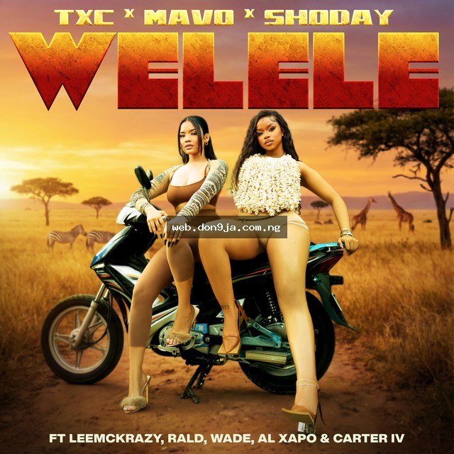 Welele cover