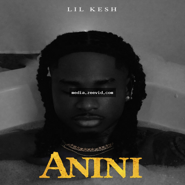 Anini (Thief) cover art